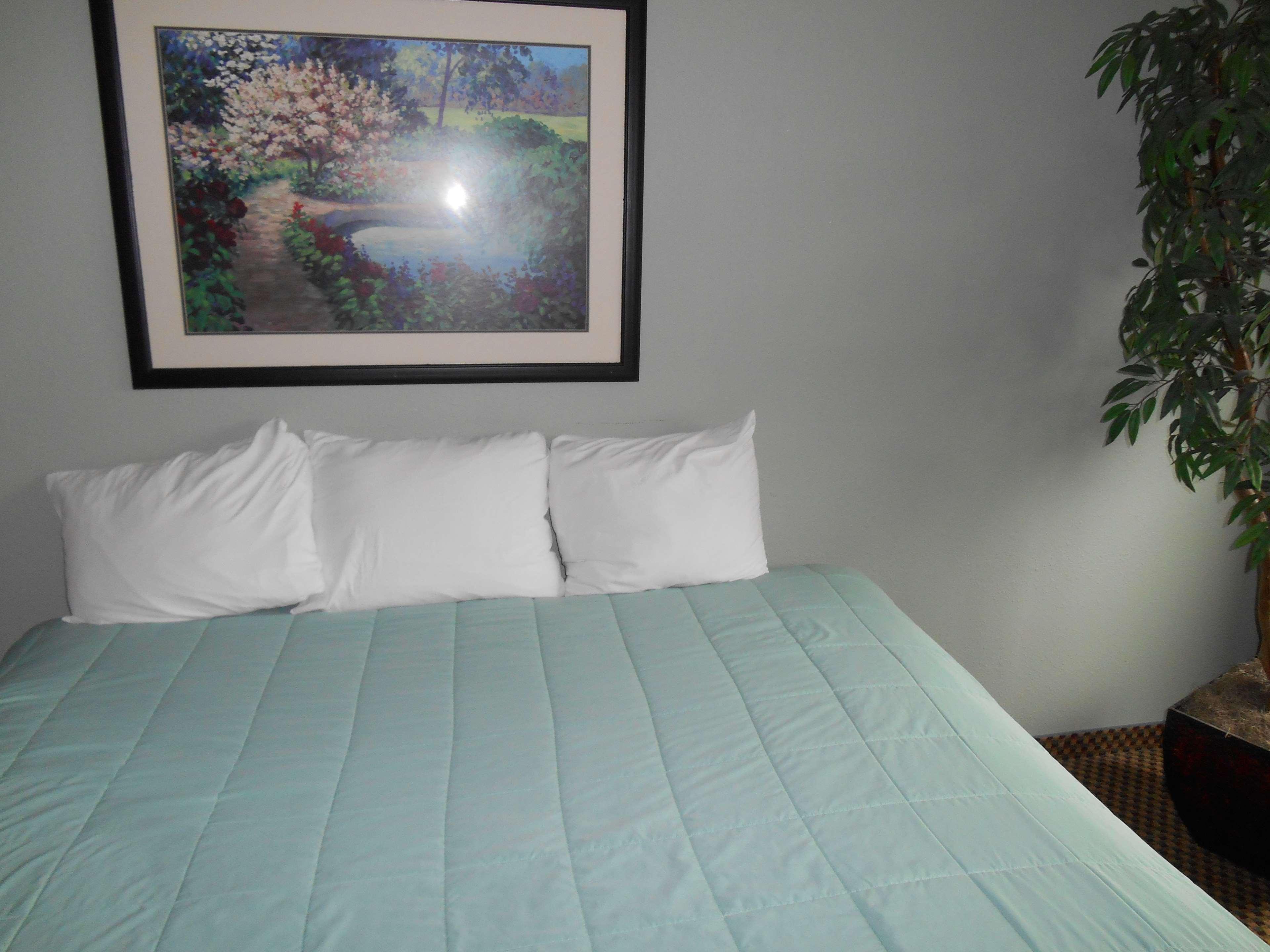 Guesthouse Inn & Suites Eugene/Springfield Ngoại thất bức ảnh